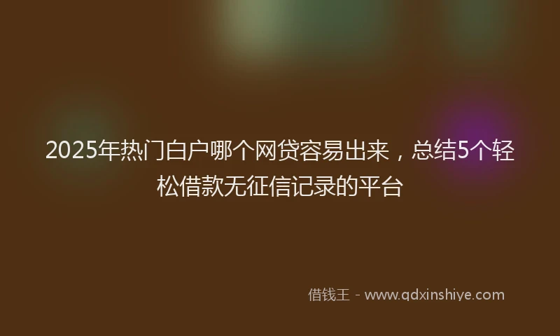 2025年热门白户哪个网贷容易出来，总结5个轻松借款无征信记录的平台