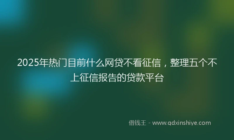 2025年热门目前什么网贷不看征信，整理五个不上征信报告的贷款平台