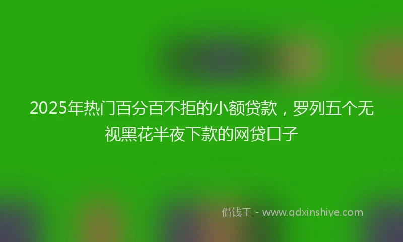 2025年热门百分百不拒的小额贷款,罗列五个无视黑花半夜下款的网贷口子
