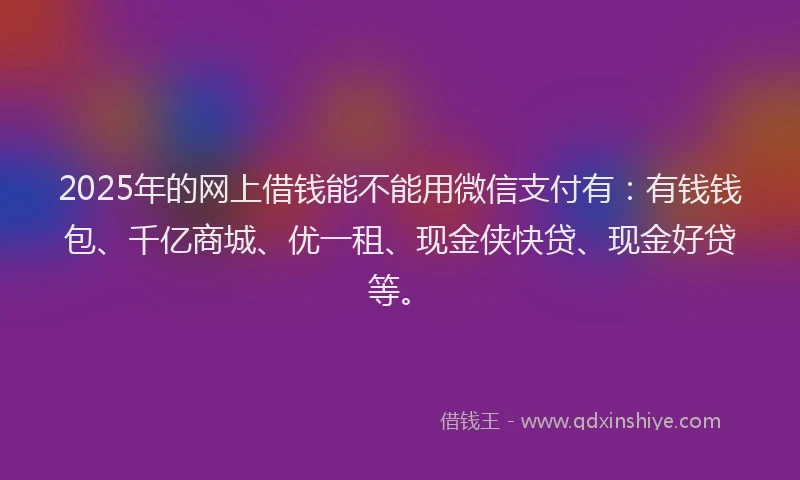 2025年的网上借钱能不能用微信支付有：有钱钱包、千亿商城、优一租、现金侠快贷、现金好贷等。