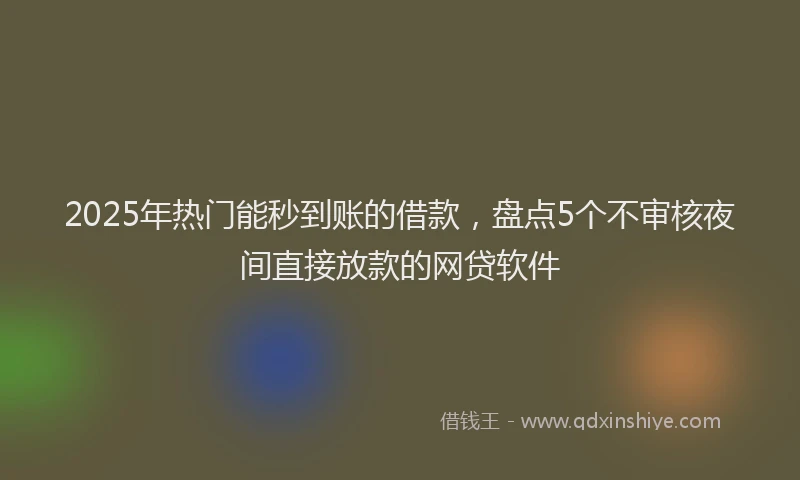 2025年热门能秒到账的借款,盘点5个不审核夜间直接放款的网贷软件