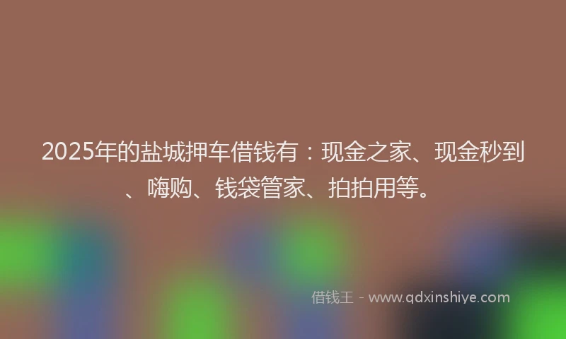 2025年的盐城押车借钱有：现金之家、现金秒到、嗨购、钱袋管家、拍拍用等。