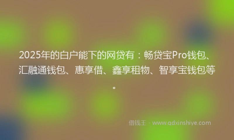 2025年的白户能下的网贷有：畅贷宝Pro钱包、汇融通钱包、惠享借、鑫享租物、智享宝钱包等。