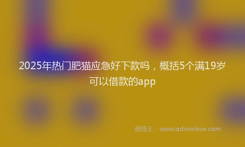 2025年热门肥猫应急好下款吗,概括5个满19岁可以借款的app