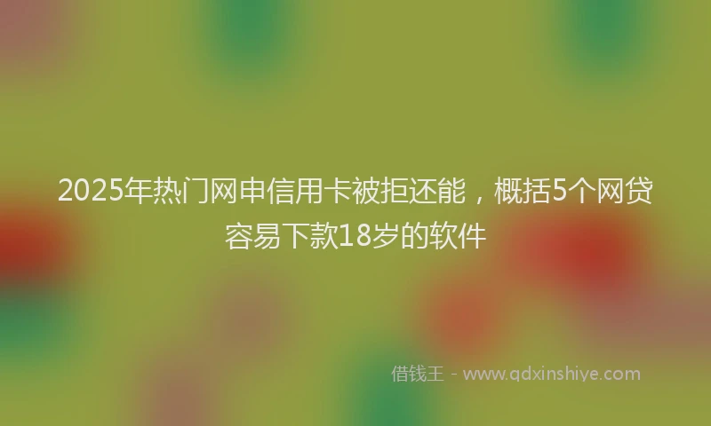 2025年热门网申信用卡被拒还能，概括5个网贷容易下款18岁的软件