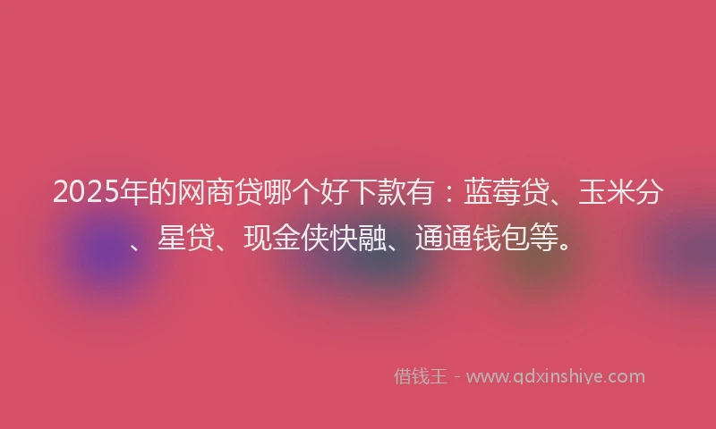 2025年的网商贷哪个好下款有：蓝莓贷、玉米分、星贷、现金侠快融、通通钱包等。