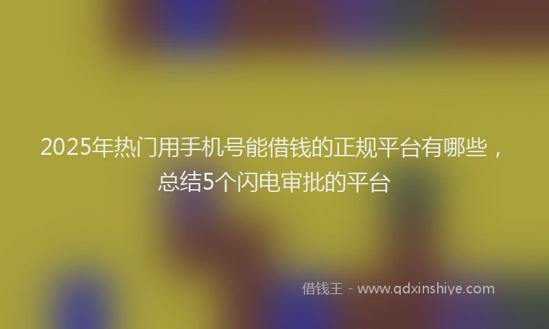 2025年热门用手机号能借钱的正规平台有哪些，总结5个闪电审批的平台
