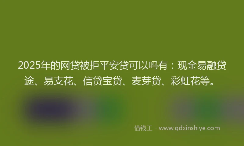 2025年的网贷被拒平安贷可以吗有:现金易融贷途、易支花、信贷宝贷、麦芽贷、彩虹花等。