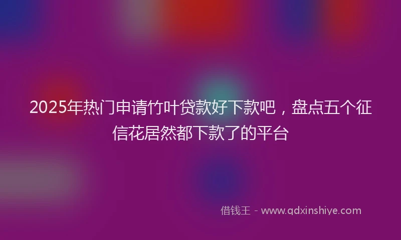 2025年热门申请竹叶贷款好下款吧，盘点五个征信花居然都下款了的平台
