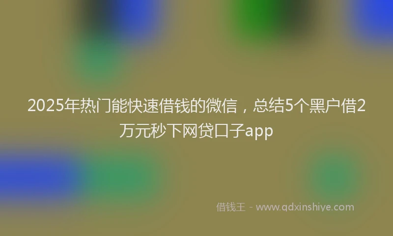 2025年热门能快速借钱的微信，总结5个黑户借2万元秒下网贷口子app