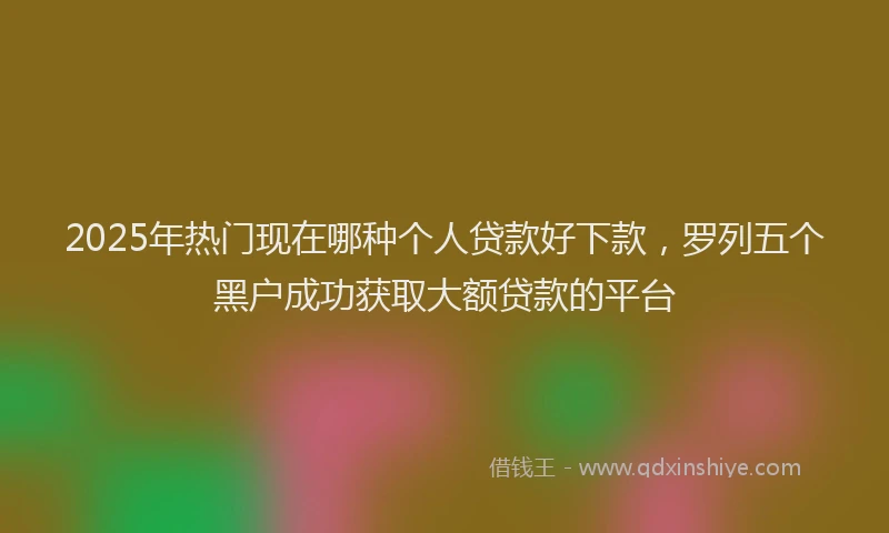 2025年热门现在哪种个人贷款好下款,罗列五个黑户成功获取大额贷款的平台