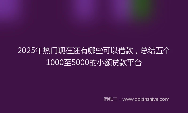 2025年热门现在还有哪些可以借款，总结五个1000至5000的小额贷款平台