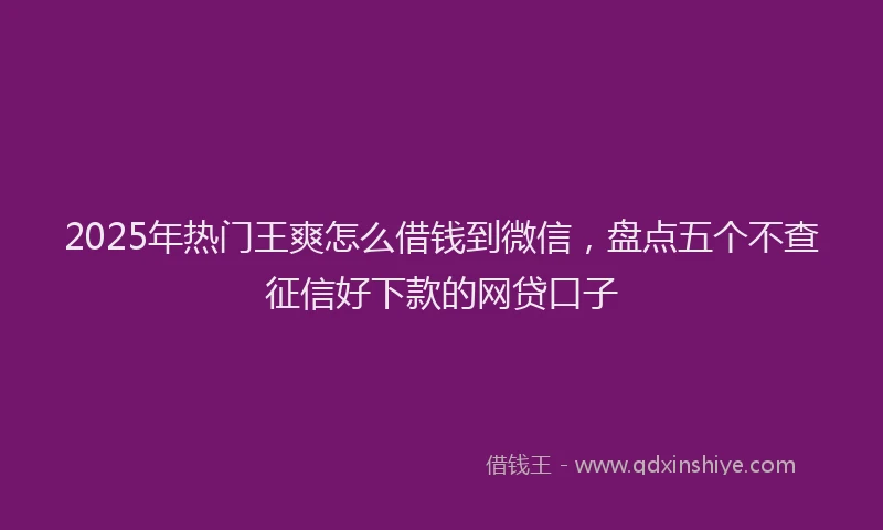 2025年热门王爽怎么借钱到微信,盘点五个不查征信好下款的网贷口子