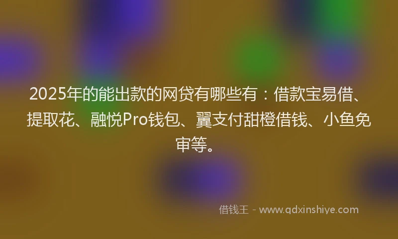 2025年的能出款的网贷有哪些有:借款宝易借、提取花、融悦Pro钱包、翼支付甜橙借钱、小鱼免审等。