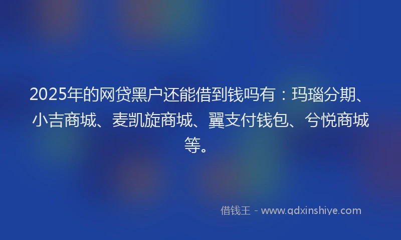 2025年的网贷黑户还能借到钱吗有:玛瑙分期、小吉商城、麦凯旋商城、翼支付钱包、兮悦商城等。