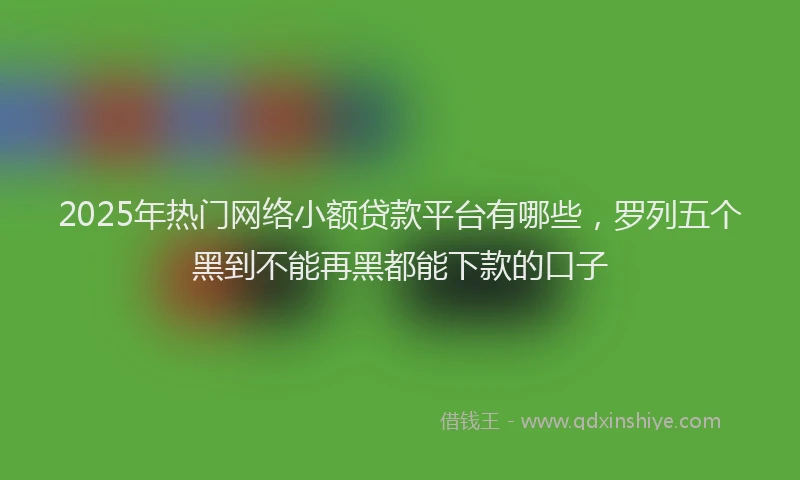 2025年热门网络小额贷款平台有哪些，罗列五个黑到不能再黑都能下款的口子