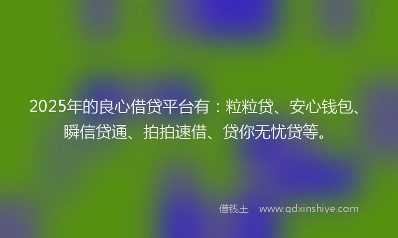 2025年的良心借贷平台有:粒粒贷、安心钱包、瞬信贷通、拍拍速借、贷你无忧贷等。