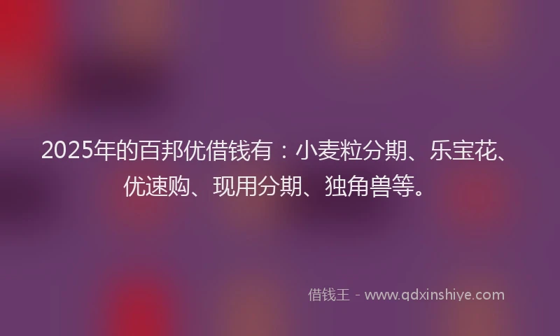 2025年的百邦优借钱有：小麦粒分期、乐宝花、优速购、现用分期、独角兽等。