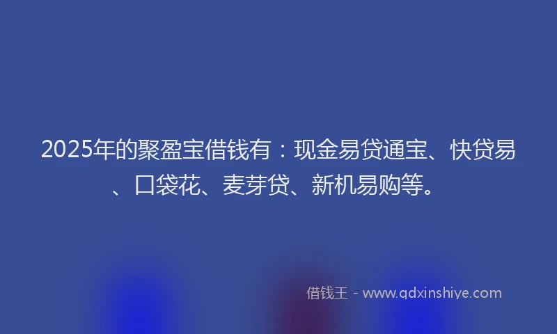 2025年的聚盈宝借钱有：现金易贷通宝、快贷易、口袋花、麦芽贷、新机易购等。