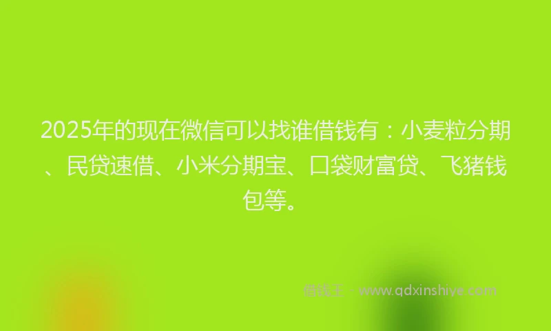 2025年的现在微信可以找谁借钱有：小麦粒分期、民贷速借、小米分期宝、口袋财富贷、飞猪钱包等。