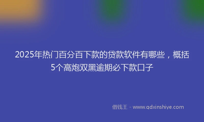 2025年热门百分百下款的贷款软件有哪些，概括5个高炮双黑逾期必下款口子