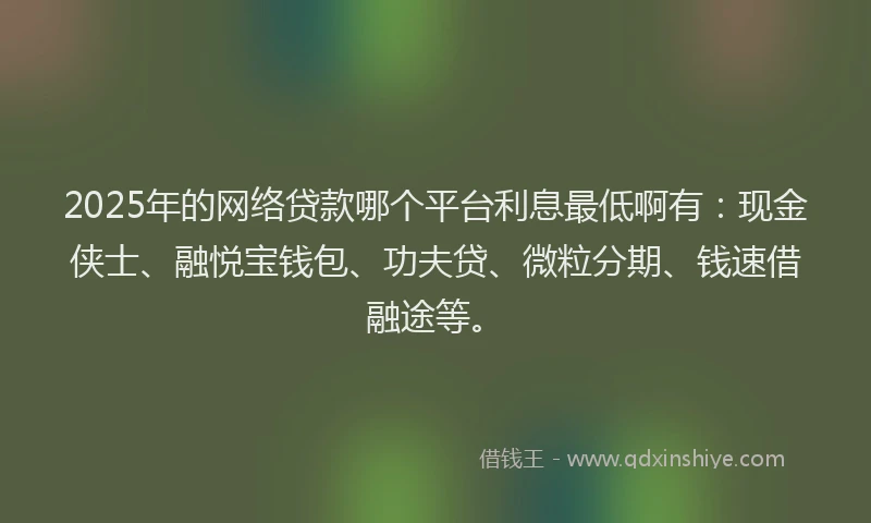 2025年的网络贷款哪个平台利息最低啊有：现金侠士、融悦宝钱包、功夫贷、微粒分期、钱速借融途等。