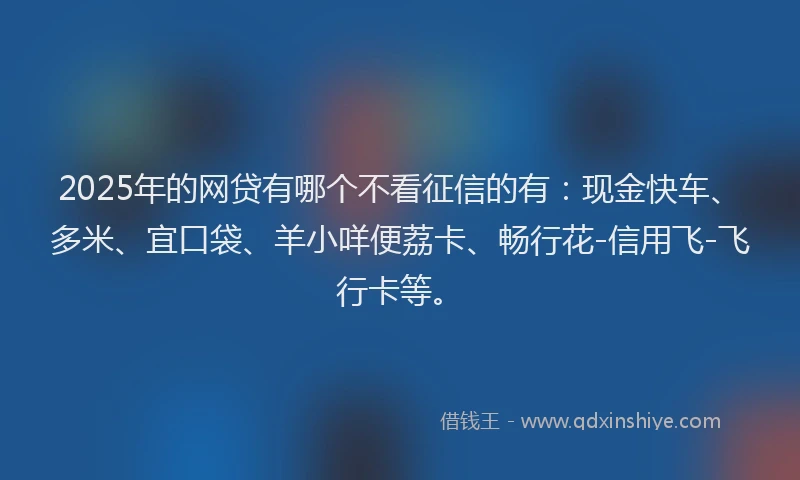 2025年的网贷有哪个不看征信的有：现金快车、多米、宜口袋、羊小咩便荔卡、畅行花-信用飞-飞行卡等。
