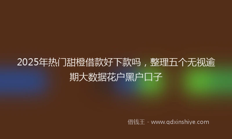 2025年热门甜橙借款好下款吗,整理五个无视逾期大数据花户黑户口子