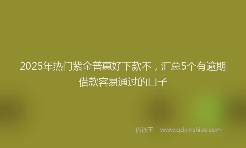 2025年热门紫金普惠好下款不，汇总5个有逾期借款容易通过的口子