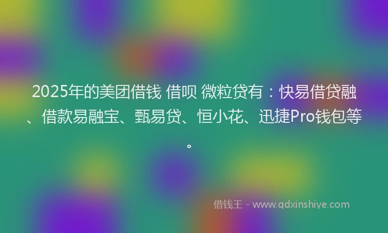 2025年的美团借钱 借呗 微粒贷有：快易借贷融、借款易融宝、甄易贷、恒小花、迅捷Pro钱包等。