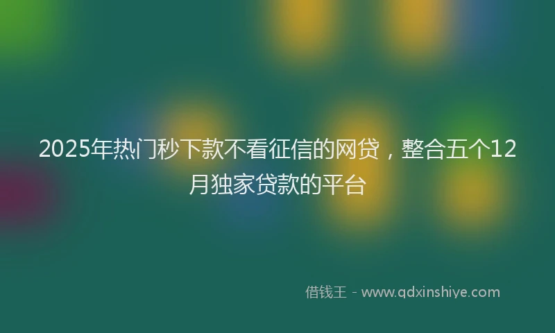 2025年热门秒下款不看征信的网贷，整合五个12月独家贷款的平台