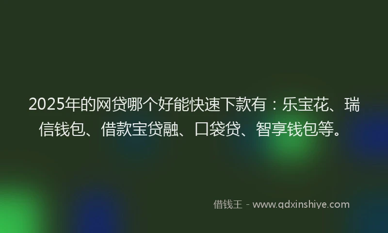 2025年的网贷哪个好能快速下款有：乐宝花、瑞信钱包、借款宝贷融、口袋贷、智享钱包等。