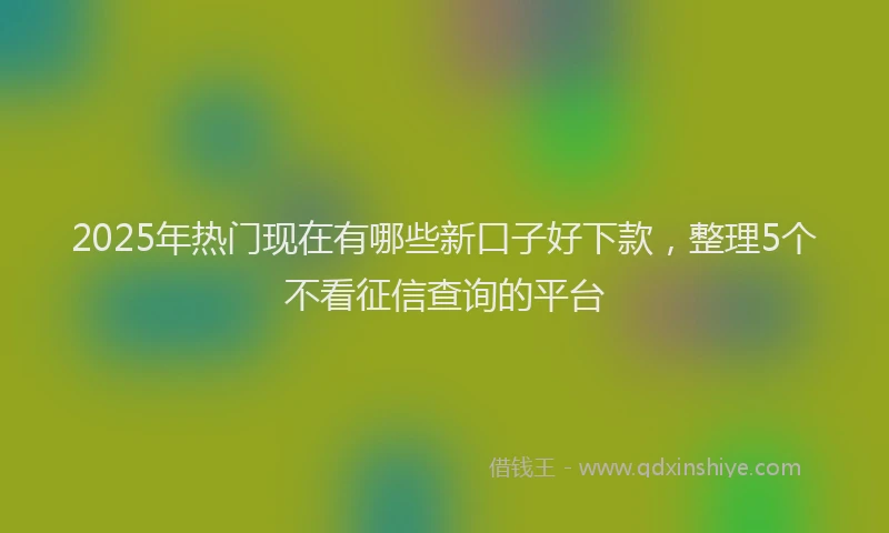 2025年热门现在有哪些新口子好下款，整理5个不看征信查询的平台