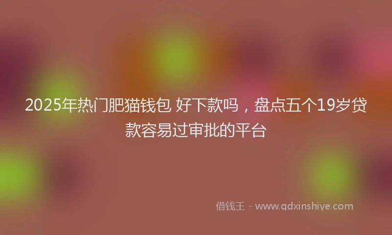 2025年热门肥猫钱包 好下款吗,盘点五个19岁贷款容易过审批的平台
