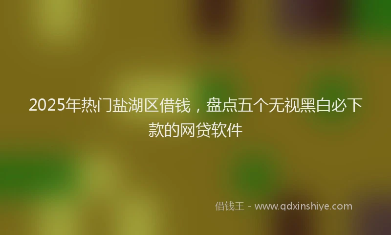 2025年热门盐湖区借钱，盘点五个无视黑白必下款的网贷软件
