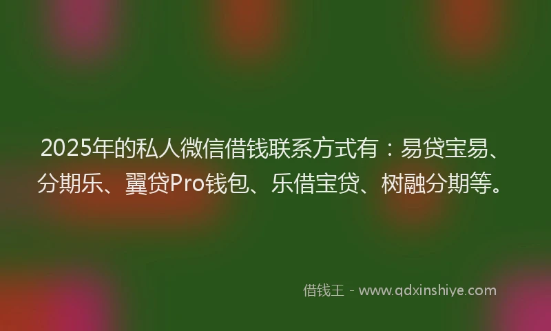 2025年的私人微信借钱联系方式有：易贷宝易、分期乐、翼贷Pro钱包、乐借宝贷、树融分期等。