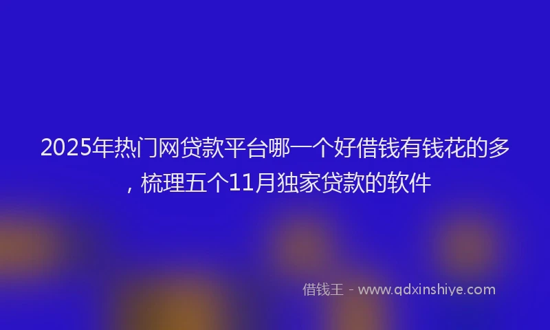 2025年热门网贷款平台哪一个好借钱有钱花的多，梳理五个11月独家贷款的软件