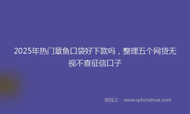 2025年热门章鱼口袋好下款吗，整理五个网贷无视不查征信口子