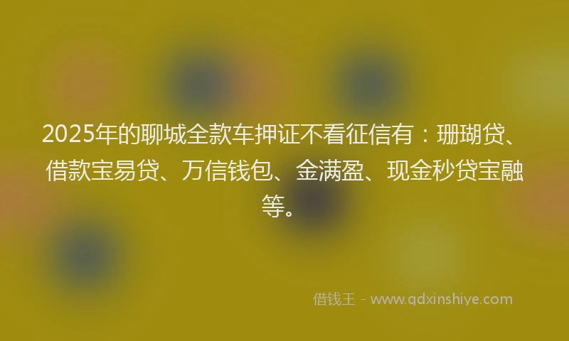 2025年的聊城全款车押证不看征信有：珊瑚贷、借款宝易贷、万信钱包、金满盈、现金秒贷宝融等。
