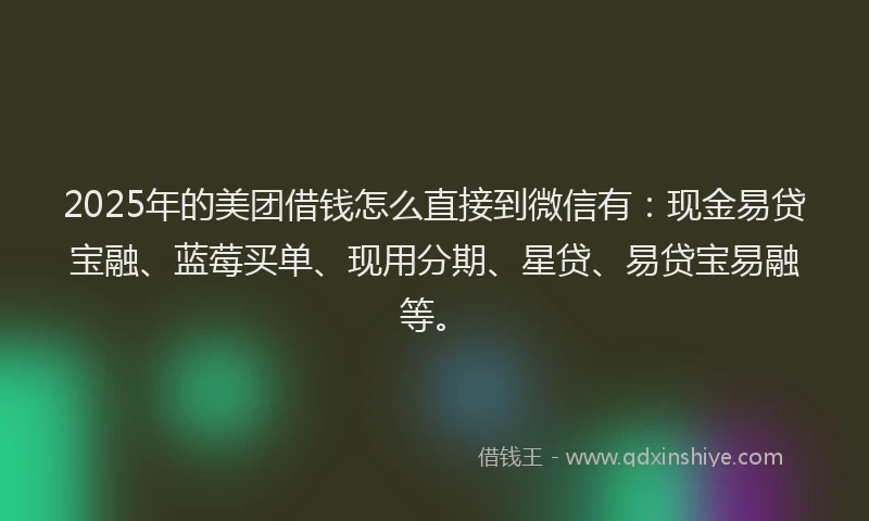 2025年的美团借钱怎么直接到微信有:现金易贷宝融、蓝莓买单、现用分期、星贷、易贷宝易融等。