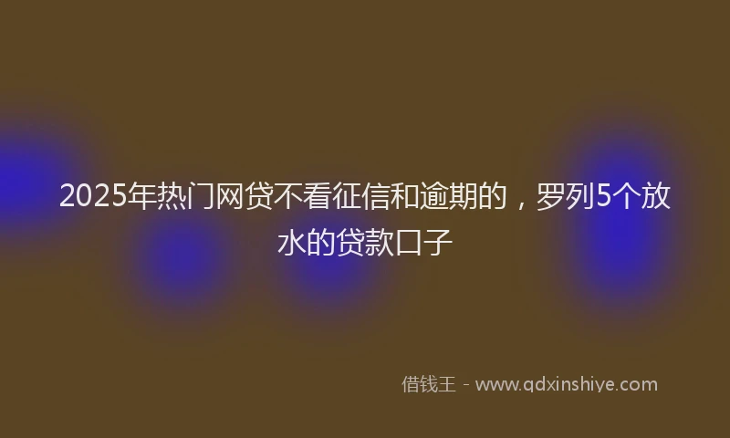 2025年热门网贷不看征信和逾期的,罗列5个放水的贷款口子