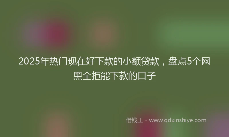 2025年热门现在好下款的小额贷款,盘点5个网黑全拒能下款的口子