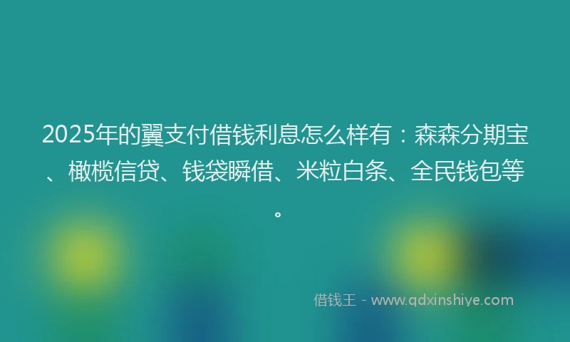 2025年的翼支付借钱利息怎么样有:森森分期宝、橄榄信贷、钱袋瞬借、米粒白条、全民钱包等。