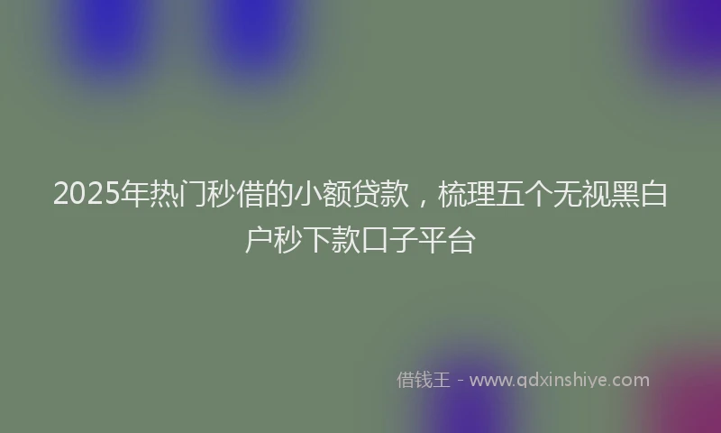 2025年热门秒借的小额贷款，梳理五个无视黑白户秒下款口子平台