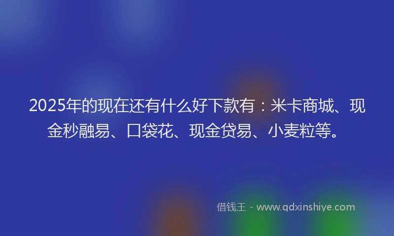 2025年的现在还有什么好下款有：米卡商城、现金秒融易、口袋花、现金贷易、小麦粒等。