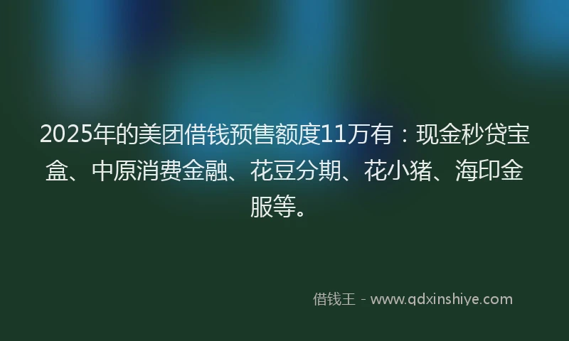 2025年的美团借钱预售额度11万有:现金秒贷宝盒、中原消费金融、花豆分期、花小猪、海印金服等。