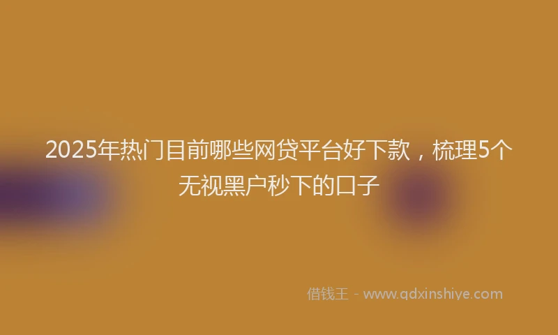 2025年热门目前哪些网贷平台好下款，梳理5个无视黑户秒下的口子