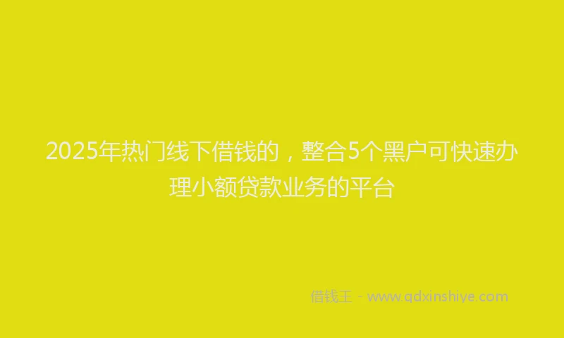 2025年热门线下借钱的，整合5个黑户可快速办理小额贷款业务的平台