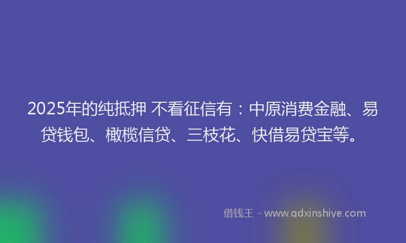 2025年的纯抵押 不看征信有：中原消费金融、易贷钱包、橄榄信贷、三枝花、快借易贷宝等。