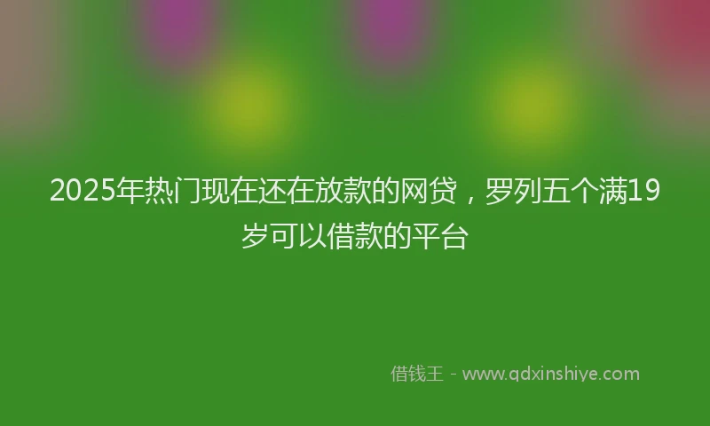 2025年热门现在还在放款的网贷，罗列五个满19岁可以借款的平台
